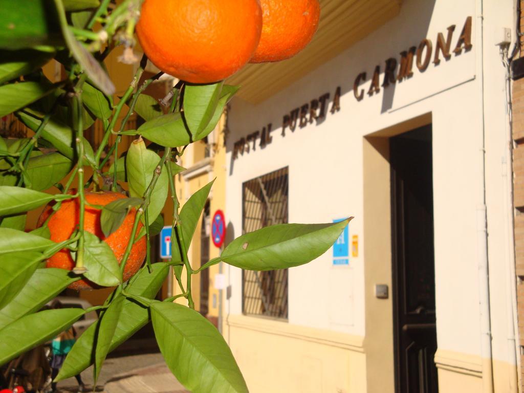 Casa de hóspedes Puerta Carmona 2*