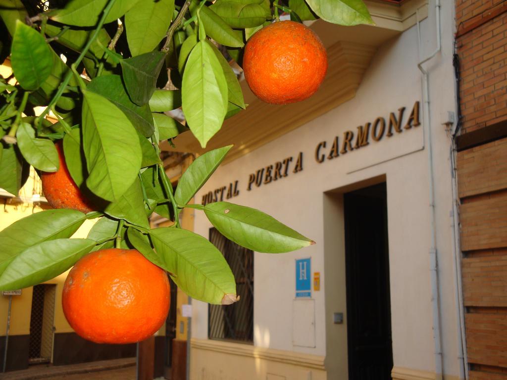 Puerta Carmona 2* Sevilla